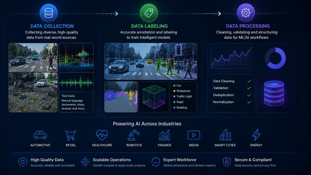 AI Data Services: From Data Collection and Labeling to Processing